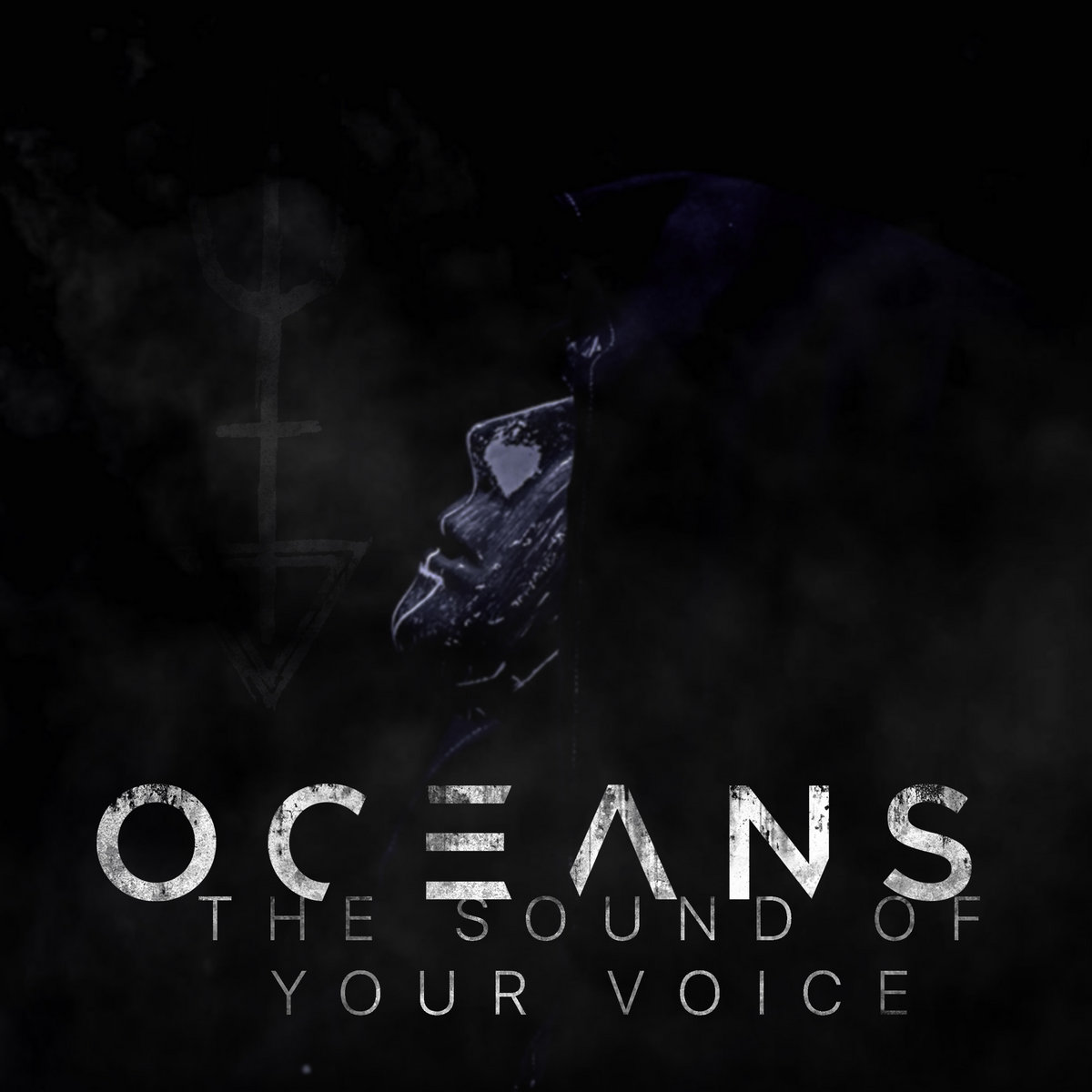 The Sound of Your Voice