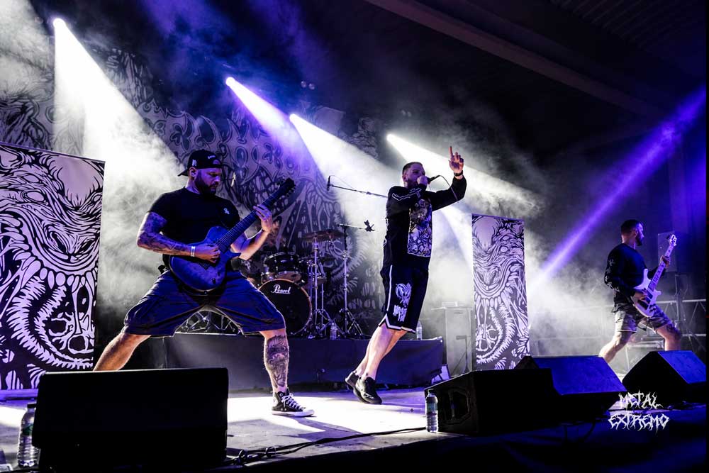 EMBRACE YOUR PUNISHMENT, PURA ENERGÍA EN DIRECTO